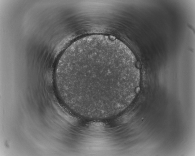 X0000103950203200810171846