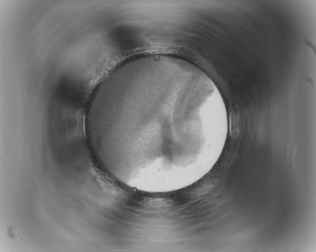 X0000103950205200810171846