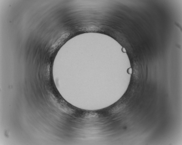 X0000103950206200810171846