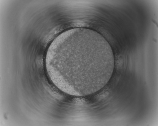 X0000103950207200810171846