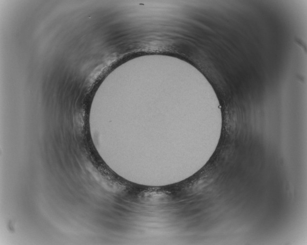 X0000103950208200810171846