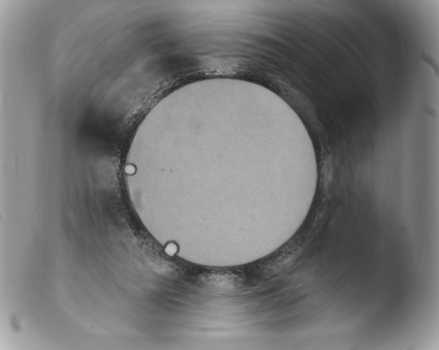 X0000103950209200810171846