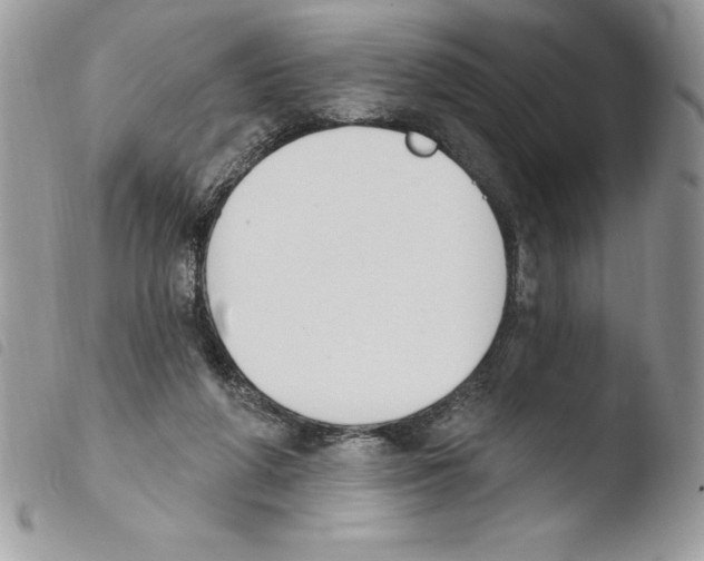 X0000103950210200810171846