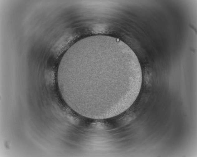 X0000103950211200810171846