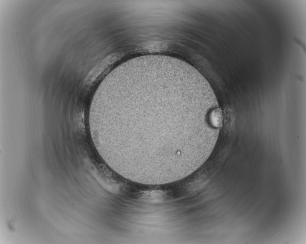 X0000103950212200810171846