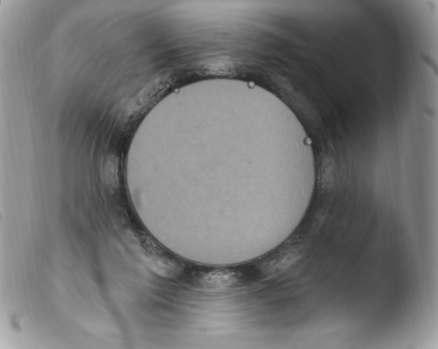 X0000103950213200810171846