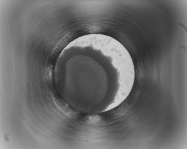 X0000103950214200810171846