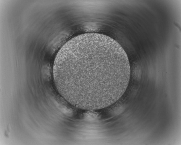 X0000103950215200810171846