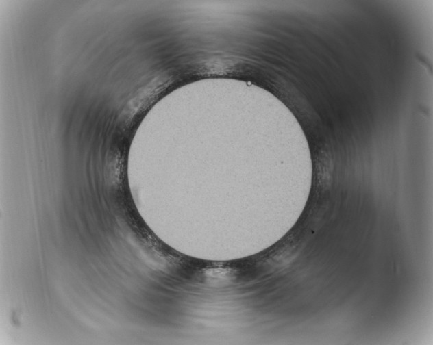 X0000103950216200810171846