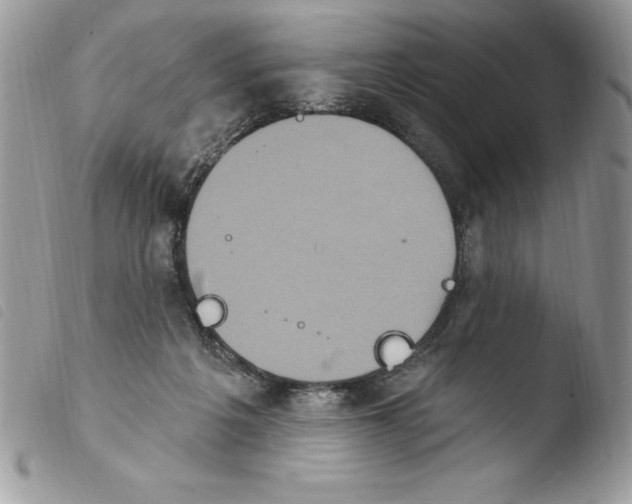 X0000103950217200810171846