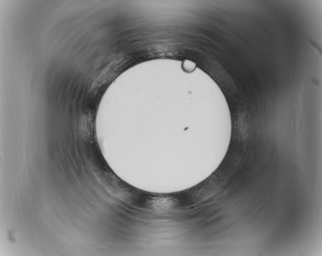 X0000103950218200810171846