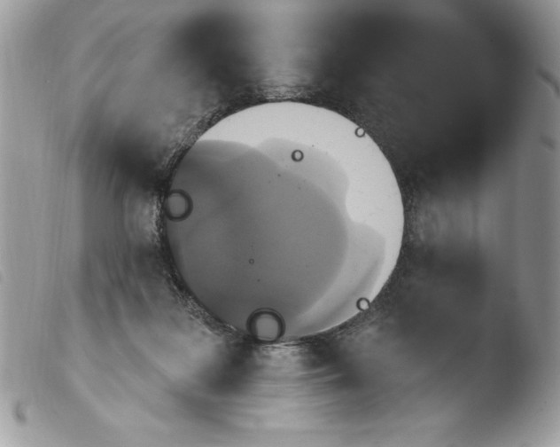 X0000103950219200810171846
