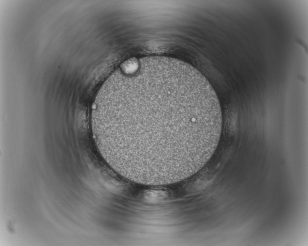 X0000103950220200810171846