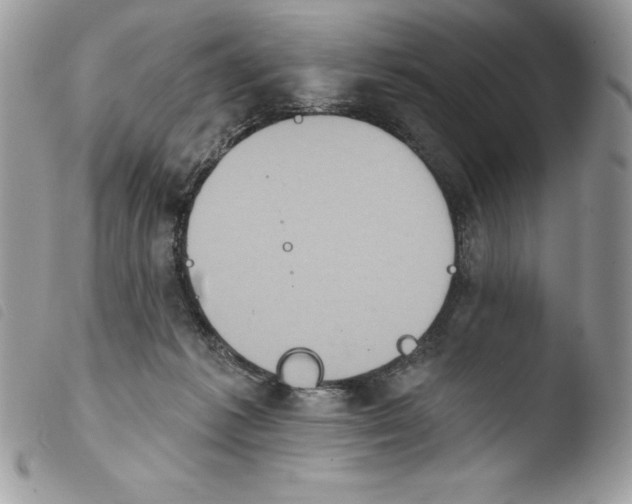 X0000103950221200810171846
