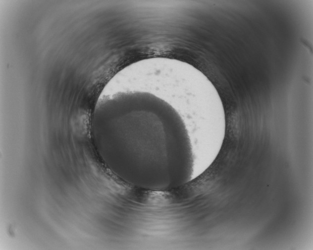 X0000103950222200810171846