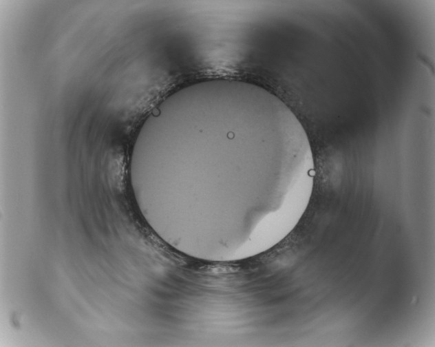 X0000103950223200810171846