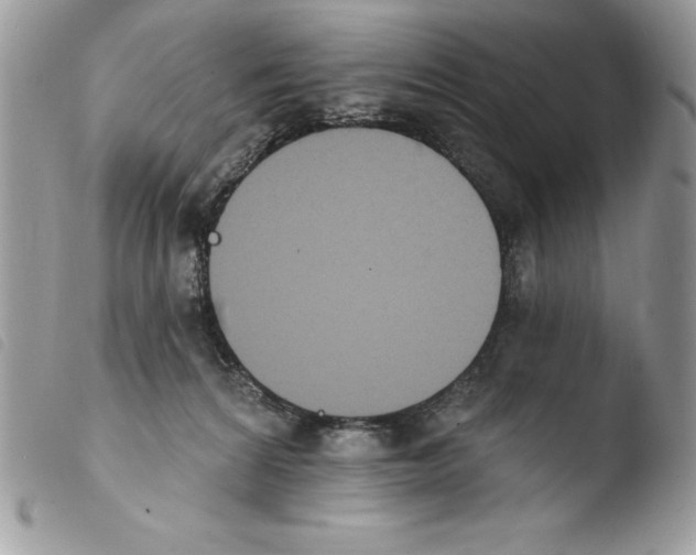 X0000103950224200810171846