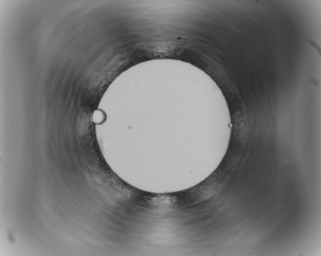 X0000103950225200810171846