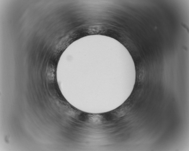 X0000103950226200810171846