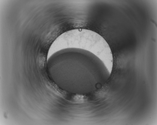 X0000103950227200810171846
