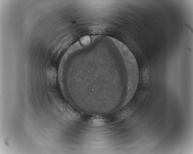 X0000103950228200810171846