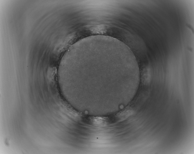 X0000103950229200810171846