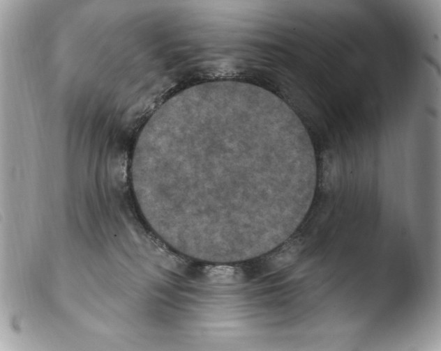 X0000103950230200810171846
