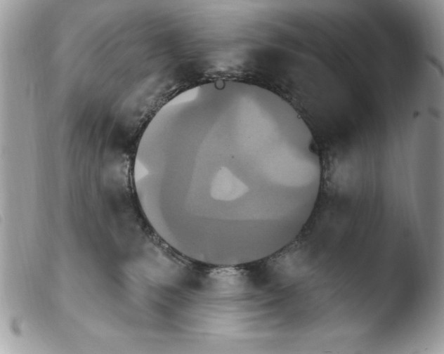 X0000103950231200810171846