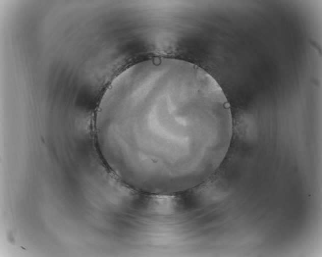 X0000103950233200810171846