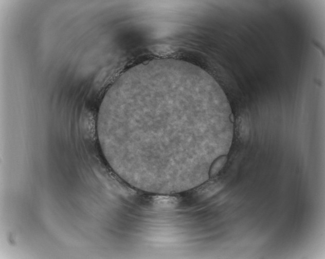 X0000103950234200810171846