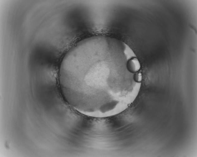 X0000103950235200810171846