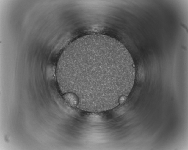 X0000103950236200810171846