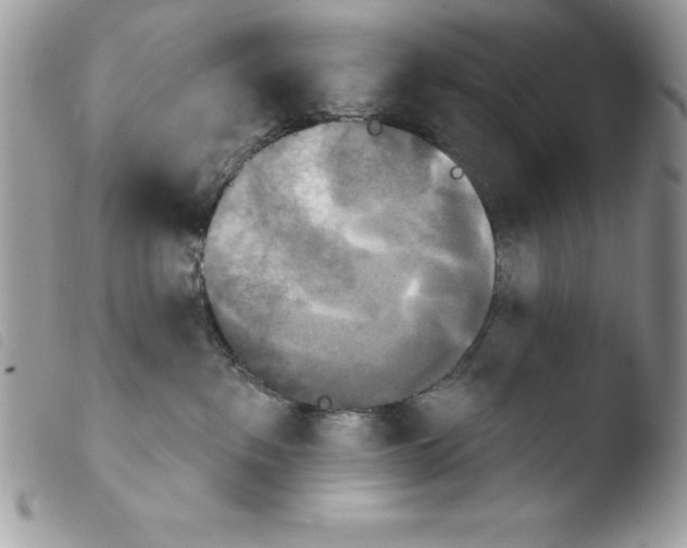 X0000103950237200810171846