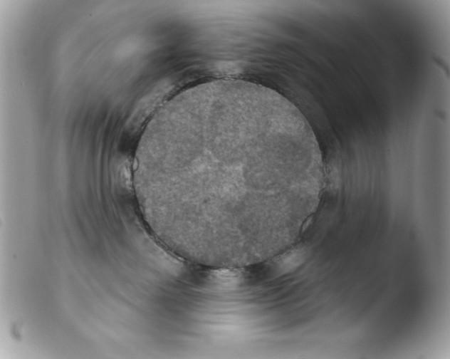 X0000103950238200810171846