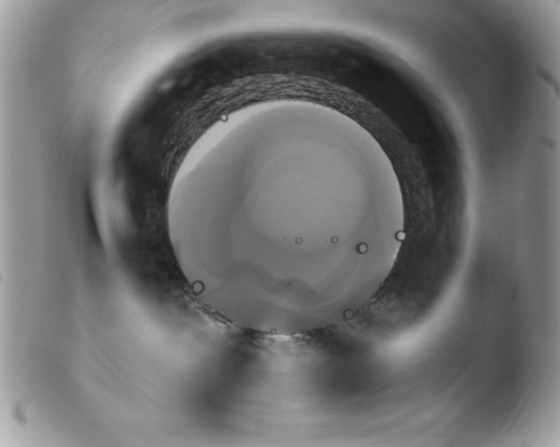 X0000103950239200810171846