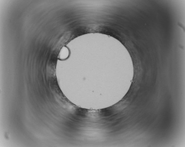 X0000103950240200810171846