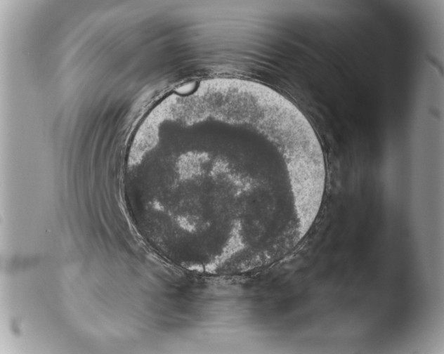 X0000103950241200810171845