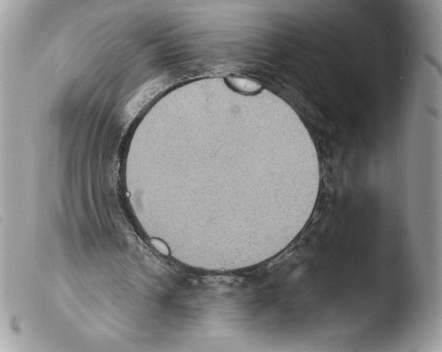 X0000103950242200810171845