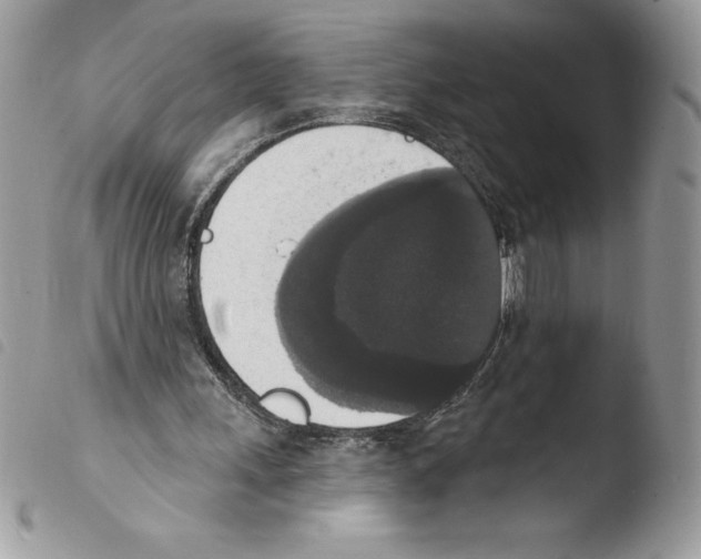 X0000103950243200810171845