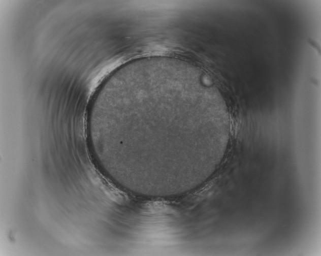 X0000103950244200810171845