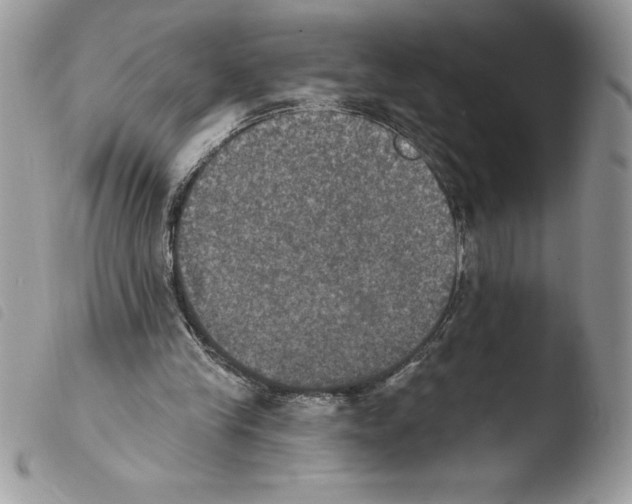 X0000103950245200810171845