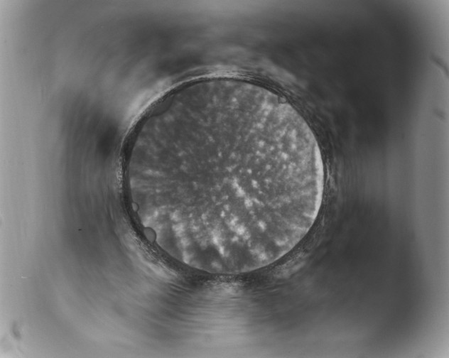 X0000103950247200810171845