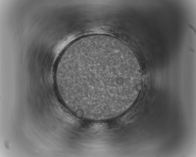 X0000103950248200810171845