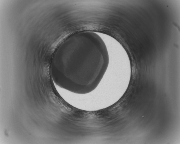 X0000103950249200810171845