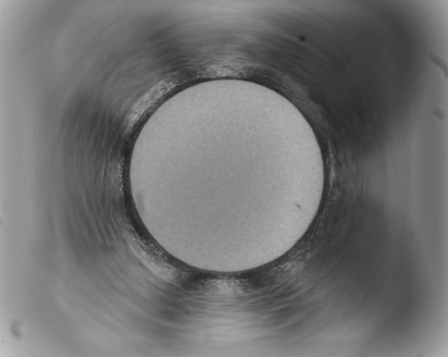 X0000103950250200810171845