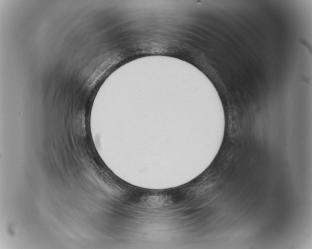 X0000103950251200810171845