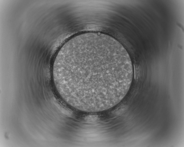 X0000103950252200810171845