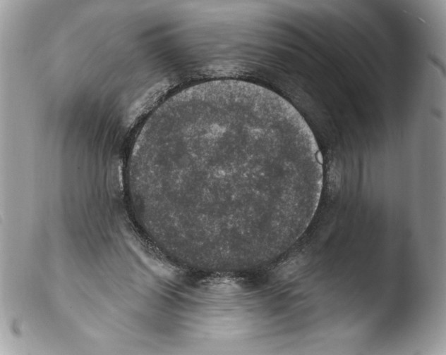 X0000103950254200810171845