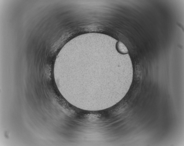 X0000103950255200810171845