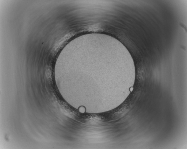 X0000103950256200810171845
